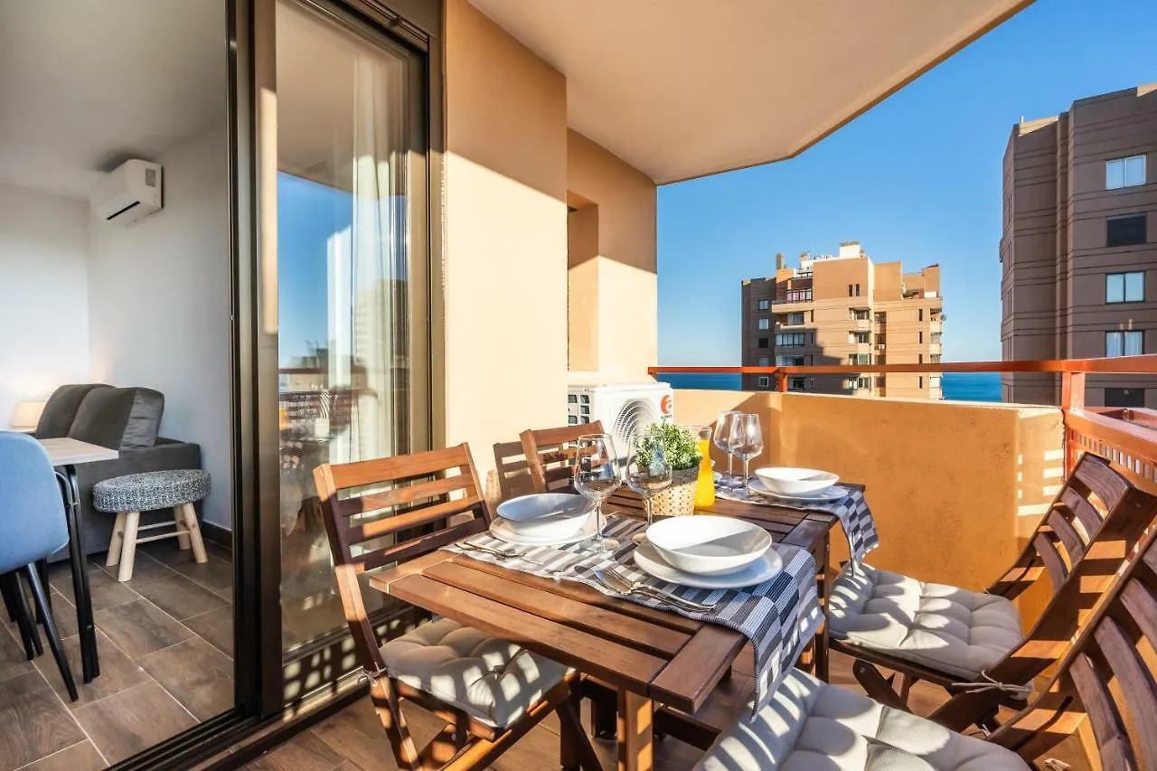 Sur Suites Palmeras 2 contacts
